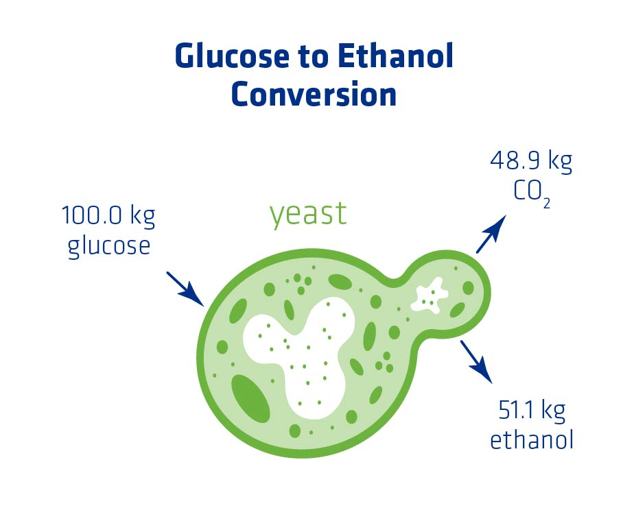 Figure 1. Glucose to Ethanol Conversion