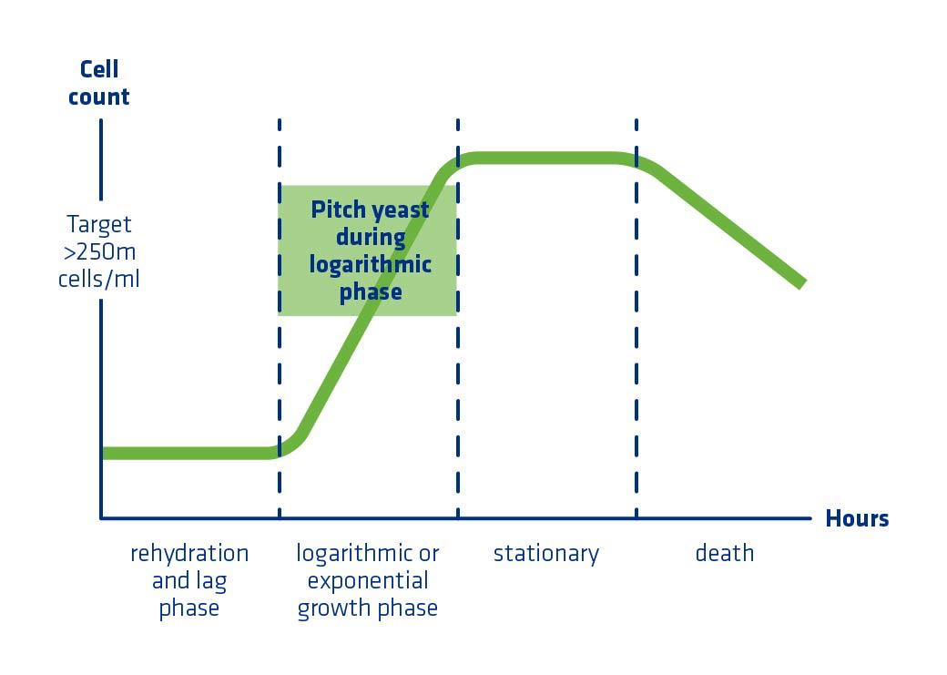 Figure 5. Graphical representation of yeast growth phases including lag, log (exponential growth), stationary, and death.