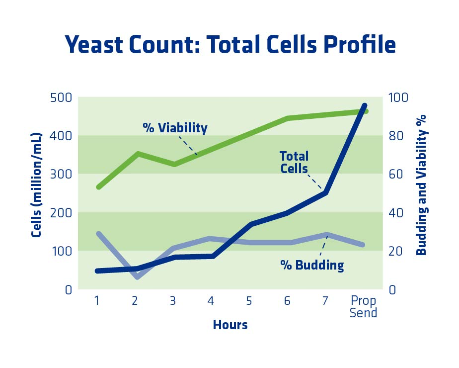 Figure 8. Example yeast propagator profile when propagation time was too long.