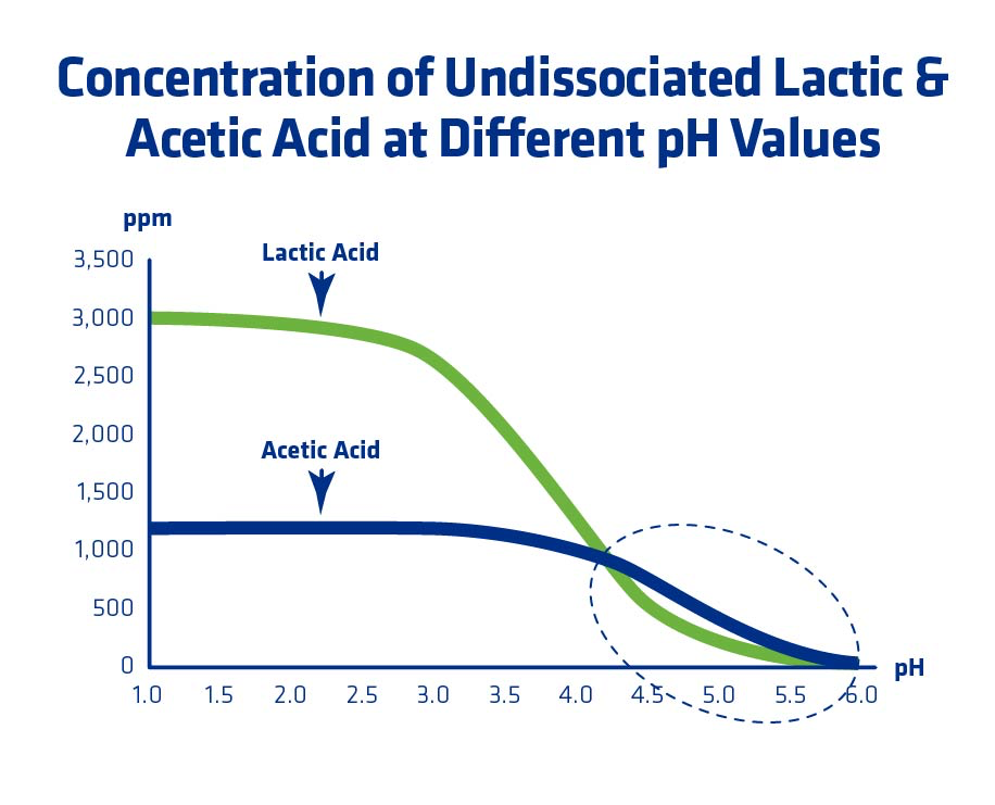 Figure 10. Calculated concentrations of undissociated lactic acid (0.3% w/v) and acetic acid (0.12% w/v).