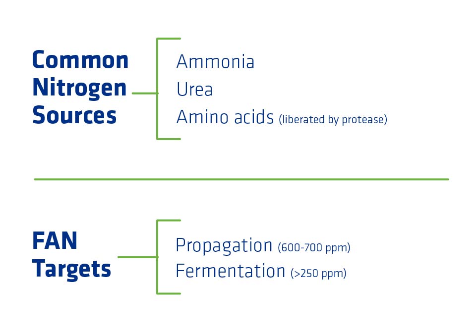 Figure 4. Common nitrogen sources and corresponding FAN targets.