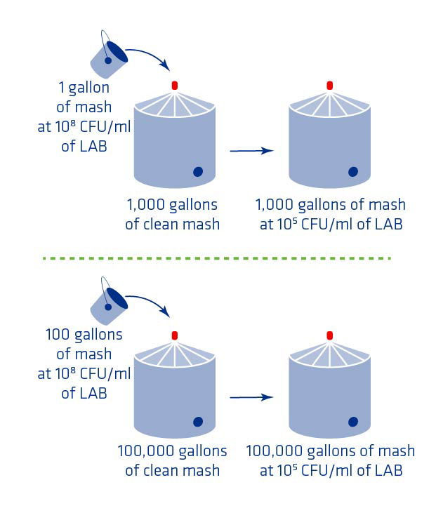 Figure 2. Potential impact of dead legs on mash bacterial counts.