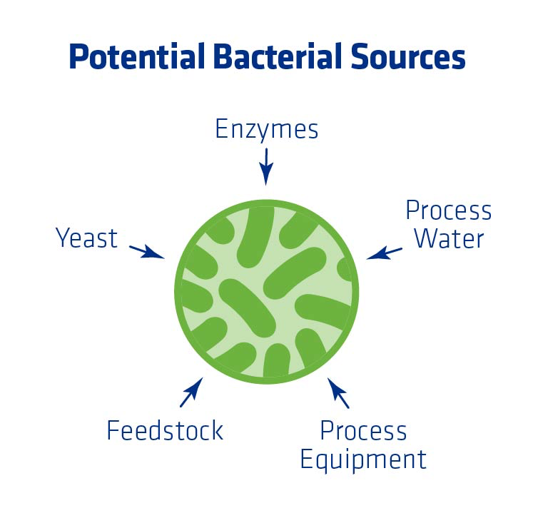 Figure 1. Fuel ethanol inputs that are the most common sources of bacteria.